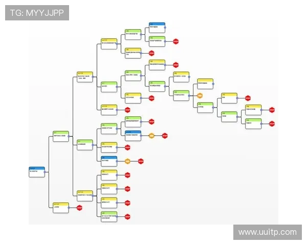羽毛球运动全方位深度解析从基础规则到技巧提升与实战应用